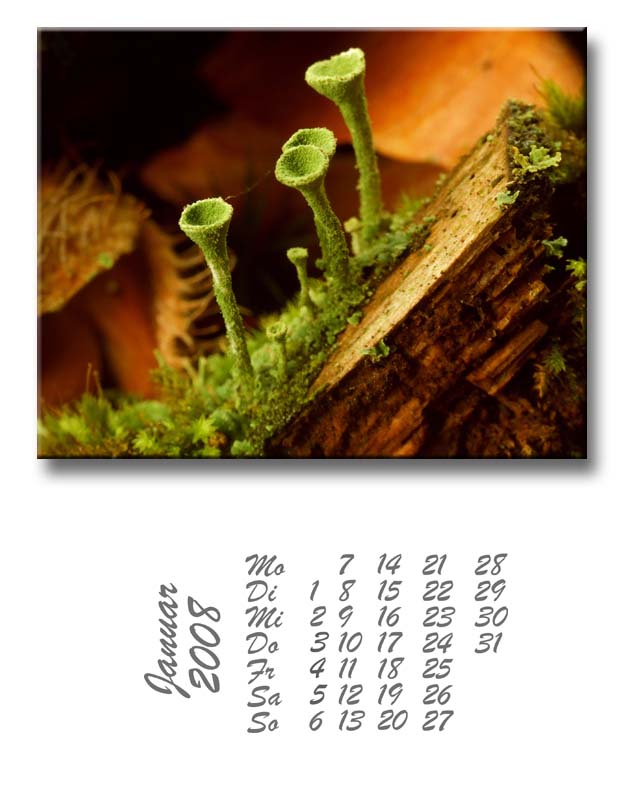 kalender1